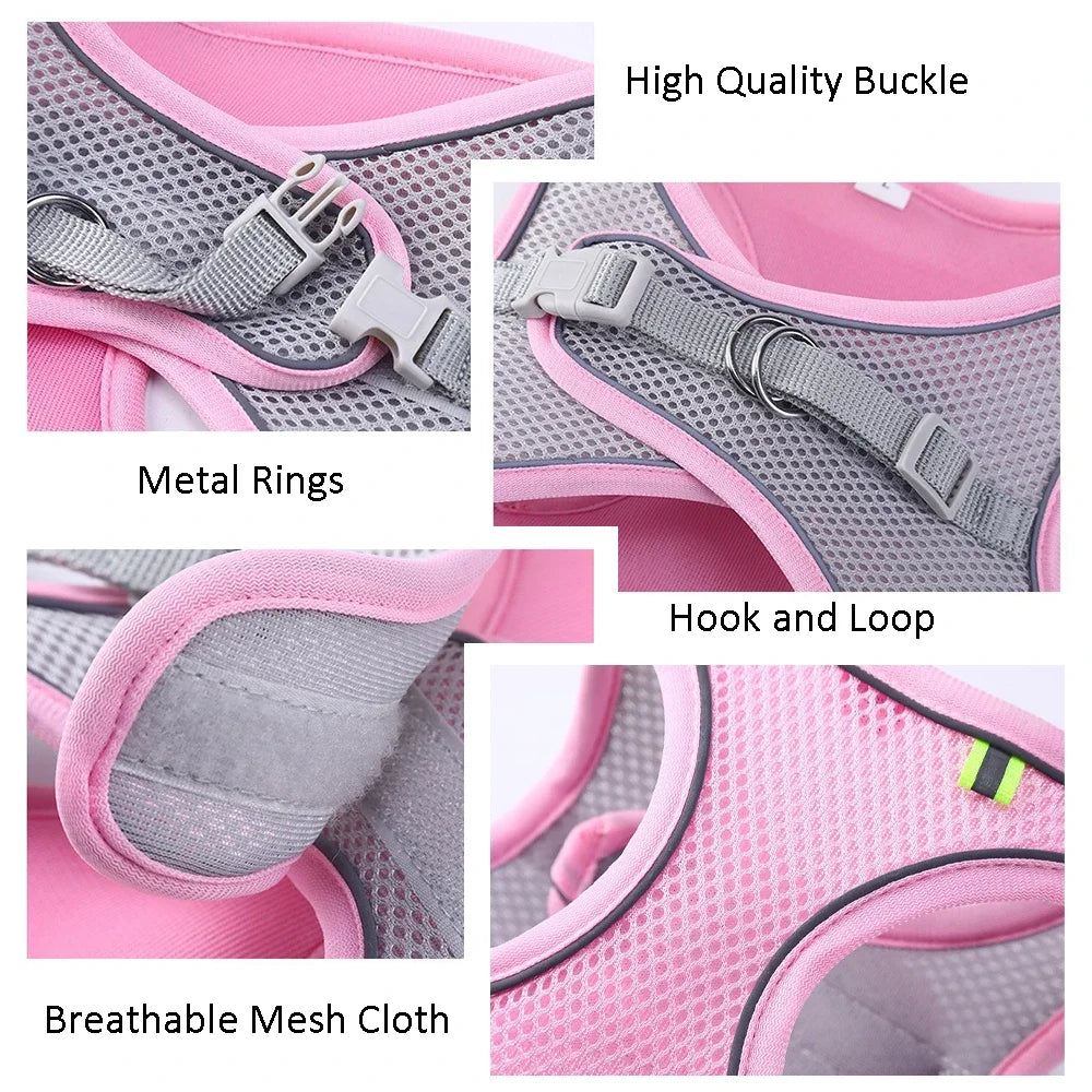 Summer Mesh Harness Vest and Leash Set for Small Dogs Adjustable Puppy Cat Harness Outdoor Dog Walking Chest Strap Pets Supplies