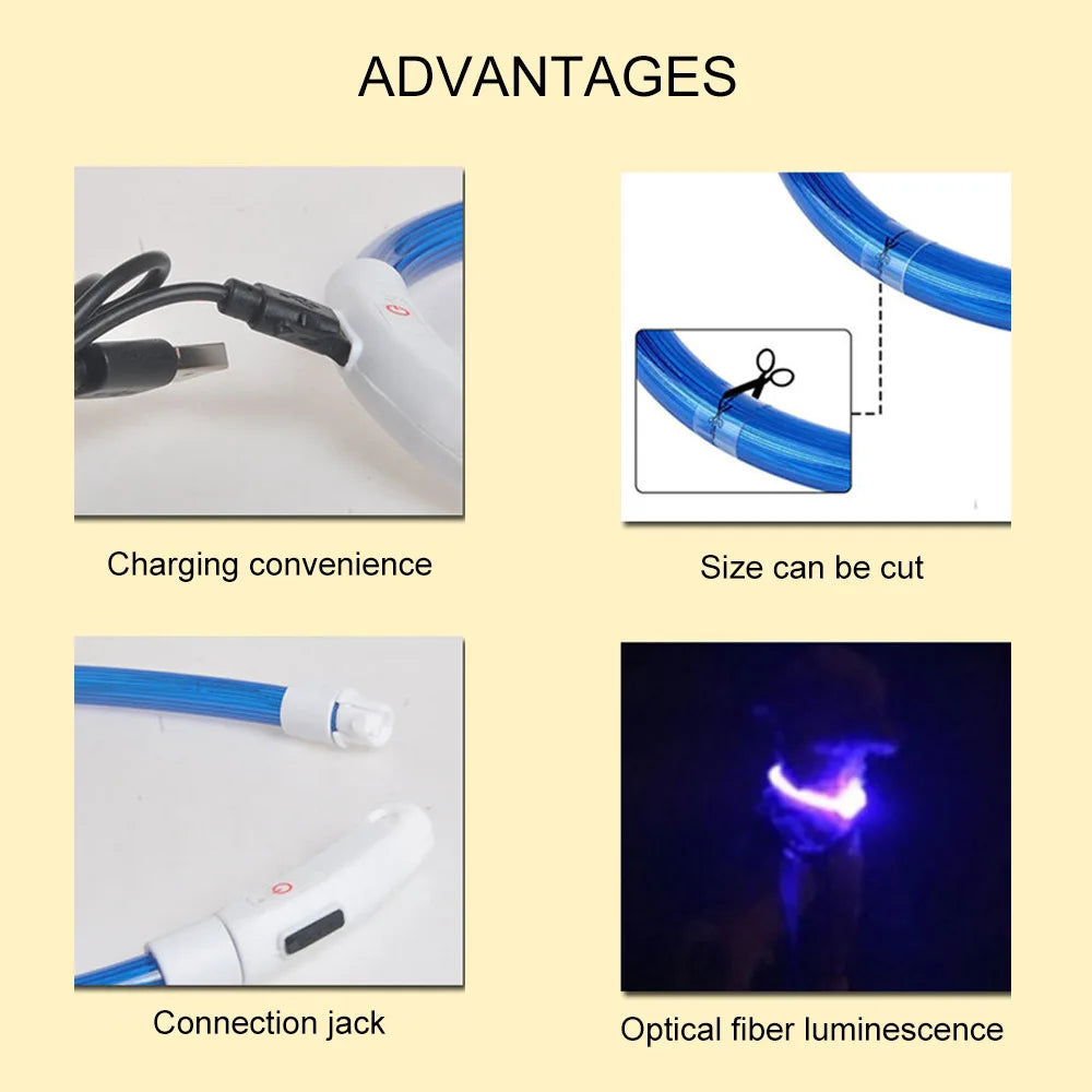 Led Dog Collar Luminous Usb Cat Dog Collar 3 Modes Led Light Glowing Loss Prevention LED Collar For Dogs Pet Dog Accessories